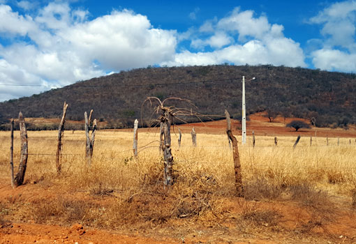 Governo do Estado decreta situação de emergência devido à seca em Brumado e Aracatu