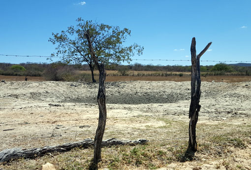 Governo da Bahia assegura R$ 189 milhões para investimentos em áreas atingidas pela estiagem