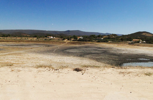 Seca: Prefeito de Brumado decreta situação de emergência