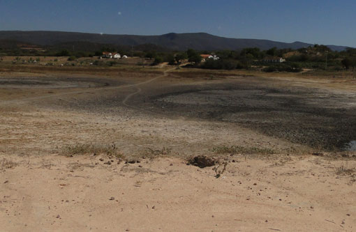 Pior seca nos últimos 50 anos no Nordeste causa prejuízo de US$ 8 bi