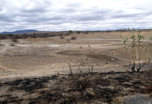 BA: Governo decreta situação de emergência em 173 municípios afetados por estiagem; Brumado, Aracatu, Malhada de Pedras e Livramento estão na lista