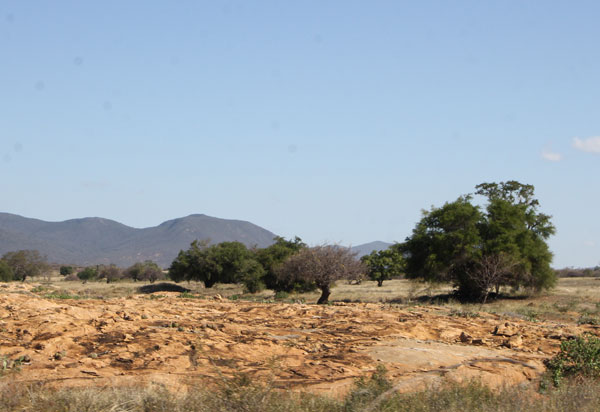 Metade da população baiana vive na Região Semiárida