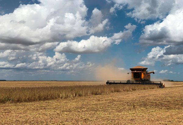 Bahia: safra de grãos deve alcançar recorde de 10,4 milhões de toneladas este ano