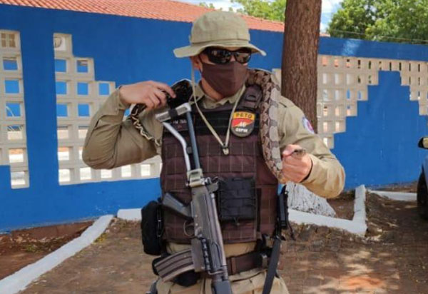 Livramento: Militares da Ronda Rural recolhem jibóia e a devolvem a natureza