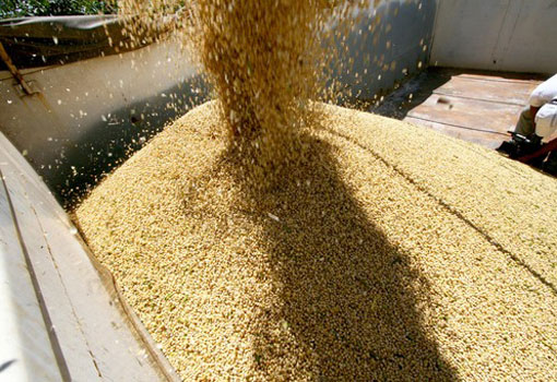 Economia baiana cresce 1,9% no segundo trimestre de 2017