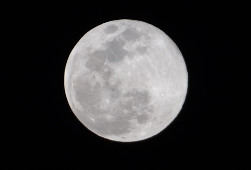 Superlua  poderá ser vista pelos brasileiros nesta segunda (14) 