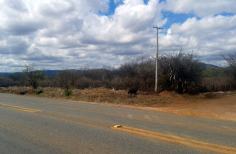 Brumado: Centro de Detenção será construído próximo a Lagoa Funda
