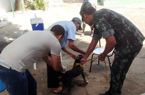 Brumado: Soldados do Tiro de Guerra 06/024 auxiliam a  Campanha de Combate à raiva animal