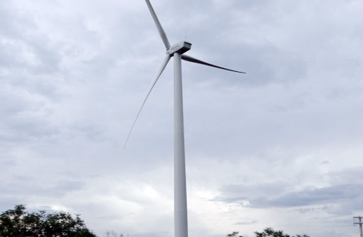 Bahia vence leilão com 24 projetos de energia eólica e fotovoltaicos