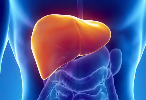 Bahia passará a realizar transplante de fígado em crianças