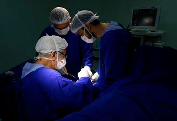 Bahia ocupa primeira posição em transplante renal no Nordeste entre os meses de janeiro e novembro