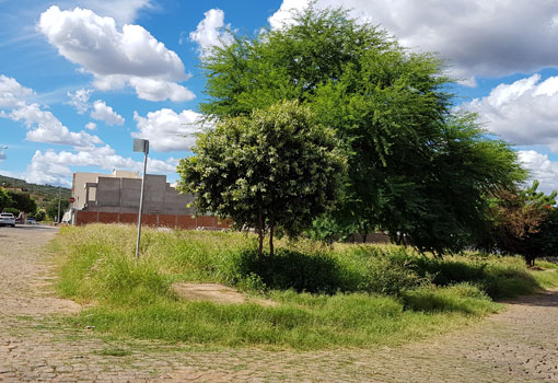 Brumado: moradores cobram capina e melhorias em Praças do Bairro Santa Tereza