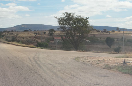 Brumado: Idoso é roubado, mas deu pauladas nos bandidos