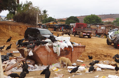 Brumado: Urubus fazem 'a festa' na área da Feira Livre