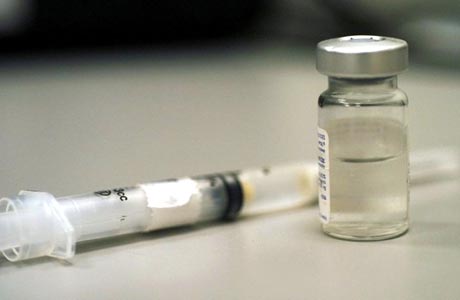 Vacina brasileira contra aids será testada em macaco