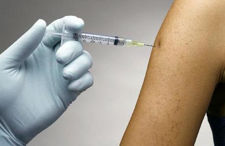 Vacina brasileira contra dengue começa a ser testada em outubro