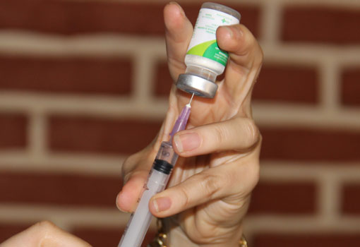 Bahia registra 114 casos de H1N1 com 15 óbitos