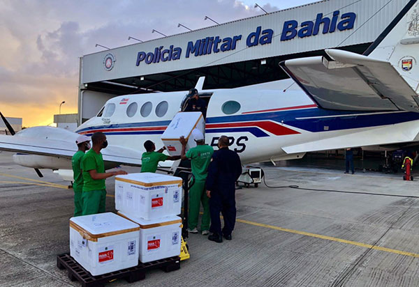 Bahia recebe nova remessa de vacinas contra Covid-19 
