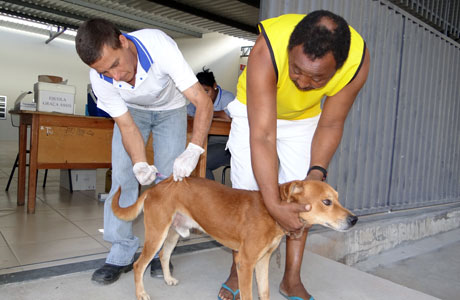 Brumado: 2ª Etapa da campanha de vacinação contra a Raiva