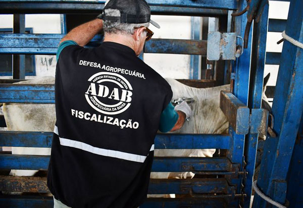 Adab anuncia recadastramento obrigatório de todas as propriedades rurais