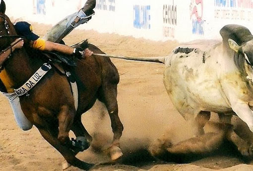 Câmara aprova em 1º turno PEC que torna a vaquejada constitucional