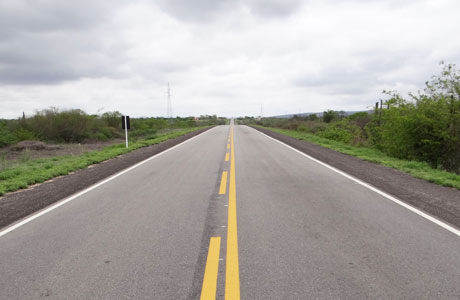 SUDOESTE: VEGETAÇÃO DA REGIÃO MUDA APÓS AS CHUVAS