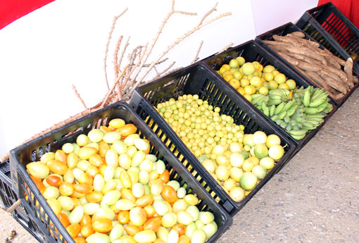 Governo do Estado viabiliza R$ 33 milhões para pagamento do Garantia Safra a agricultores familiares