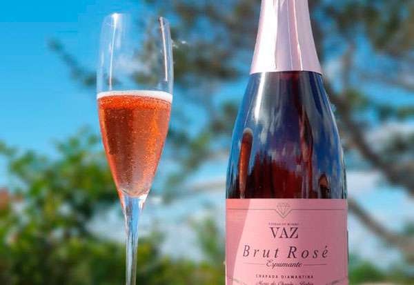 Vinho Malbec baiano produzido na Chapada ganha prêmio nacional 