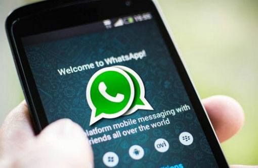 Confira como ativar ligações gratuitas via WhatsApp