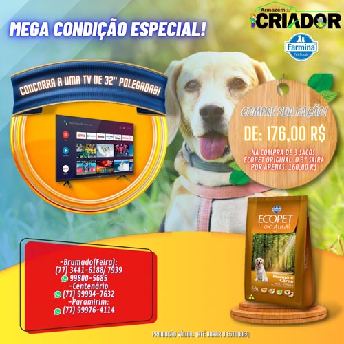Brumado: Confira as promoções do Armazém do Criador