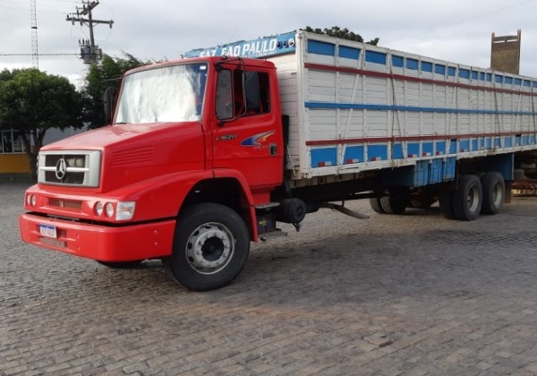 PRF recupera 18 cabeças de gado furtadas de fazendas da região da Chapada Diamantina