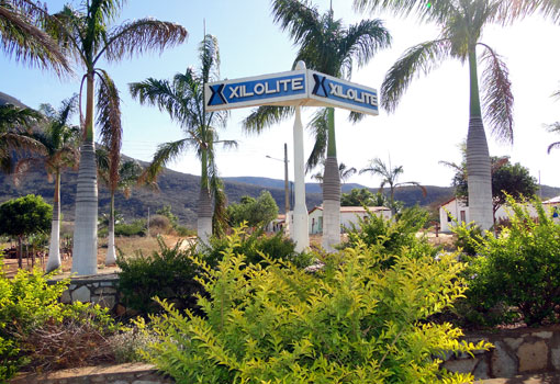 Brumado: oportunidade de emprego na Xilolite para Analista de TI