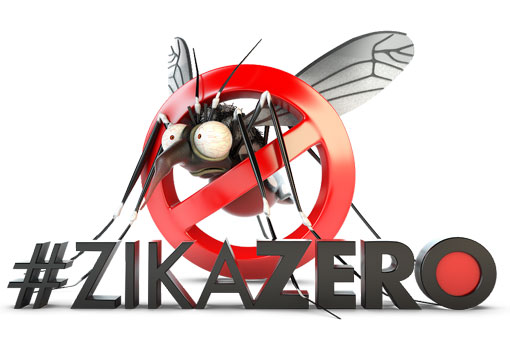 Governo declara fim de emergência nacional pelo vírus Zika