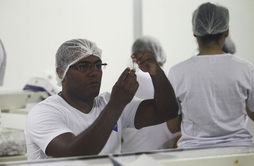 Zika vírus: Bahiafarma inicia envio de testes rápidos para Ministério da Saúde