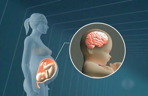 Brumado contra o vírus Zika e a Microcefalia 